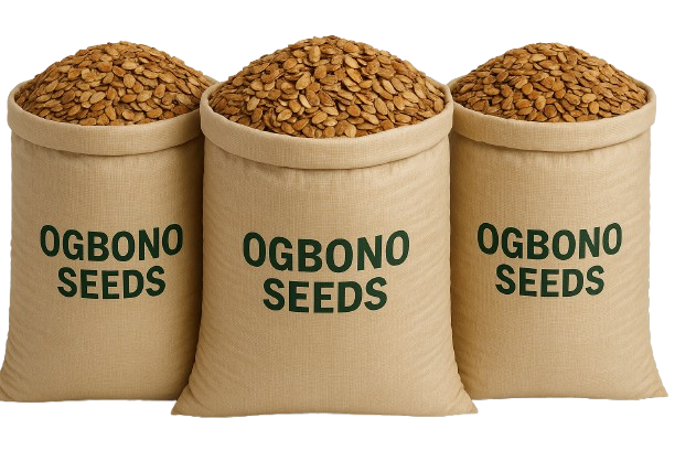 Ogbono